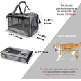 thumbnail image 2 of Wolfi Transportador para Gatos y Perros de hasta 9 Kilos, Mochila Transportadora para Mascotas Lavable, Transportador Plegable y Transpirable, Transportadorpara Perros Medianos y Grandes, 2 of 8