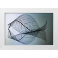 thumbnail image 1 of Kowatari, Shihya 18x13 White Modern Wood Framed Museum Art Print Titled - Curvaceousness, 1 of 4
