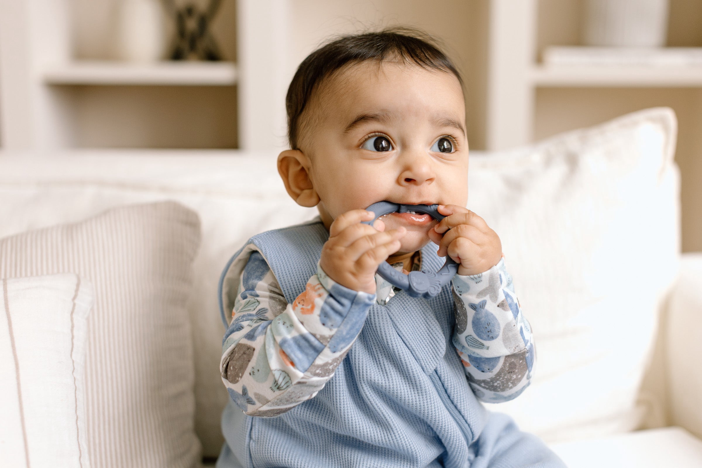 Loulou Lollipop Blue Fog Wild Teether Ring Set for Babies and Toddlers 0 Months+, Dishwasher and Freezer Safe