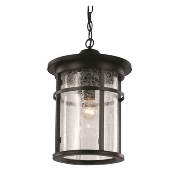 Trans Globe Lighting Avalon 4038 Outdoor Hanging Lantern