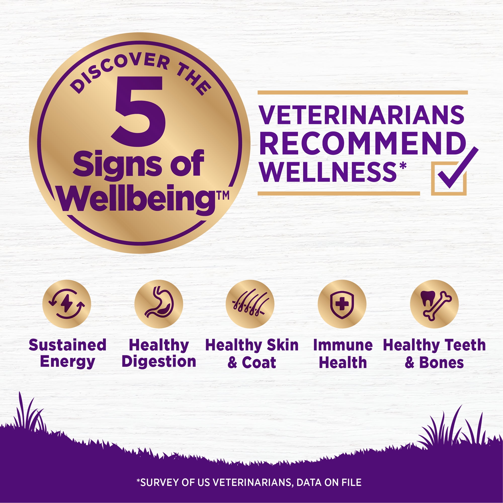 Wellness Complete Health Dry Dog Food, Wholesome Grains, Natural, Beef & Barley Recipe, (5-Pound Bag)