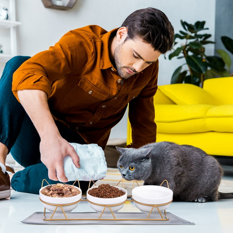 Pet dishes hot sale for cats