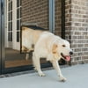 PetSafe NEVER RUST Pet Screen Door, Large