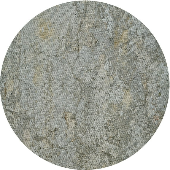 Ahgly Company Machine Washable Indoor Round Transitional Carbon Gray Area Rugs, 8' Round