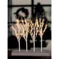 thumbnail image 3 of Northlight LED Lighted Battery Operated Artificial Christmas Birch Branch Cluster - 20" - Warm White, 3 of 3