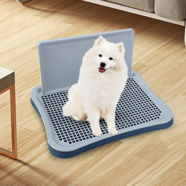 Dogs toilet online