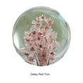 thumbnail image 4 of relayinert Boule de Cristal Portable avec Fleur Compagnon de Voyage pour Sérénité Cadeau Marguerite en Résine Rouge 7cm 1Ensemble, 4 of 6