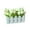 Champagne, variant on SPRING PARK 1 Set White Picket Fence Fake Succulent Plants Mini Centerpiece Plant Farmhouse Set for Indoor Cactus Kitchen Decor