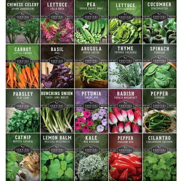 20 Pack Apartment Seed Kit - Heirloom Vegetable Seeds - Container Friendly Part & Full Sun Annuals