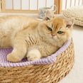 thumbnail image 6 of Dtchengua 2025 Summer Rattan Pet Circular Sleeping Mat Summer Pet Nest Indoor Wicker Pet Bed for Cats and Small Dogs Comfortable Nest for Rest and Playflannel backed vinyl tablecloths round, 6 of 6
