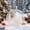 D, variant on JHRGJIO Inflatable Christmas Ball Outdoor, Festival Venue Decoration for Holiday Setup Accent, Christmas Decor Display for Yard Lawn Garden Home Party Winter Festive
