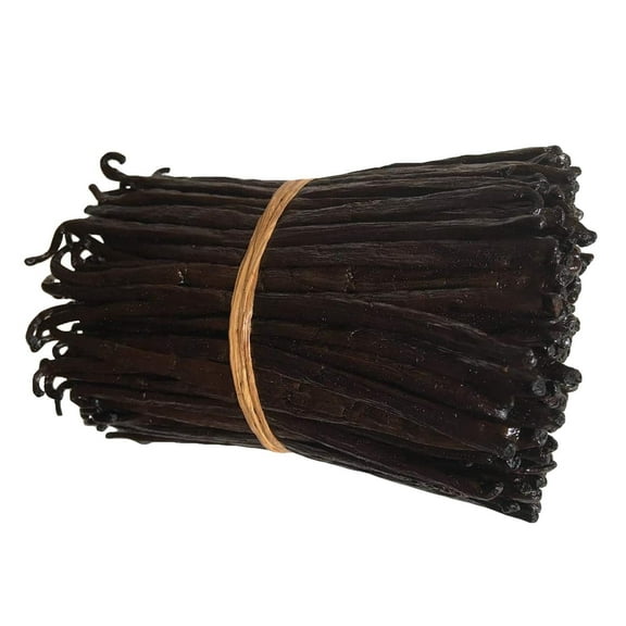 8oz Madagascar Organic Vanilla Beans Grade A. Certified USDA Organic. Fresh 6"-8" for Cooking, Baking and Extract by FITNCLEAN VANILLA| 0.5 Lb Bulk NON-GMO Whole Bourbon Gourmet Pods.