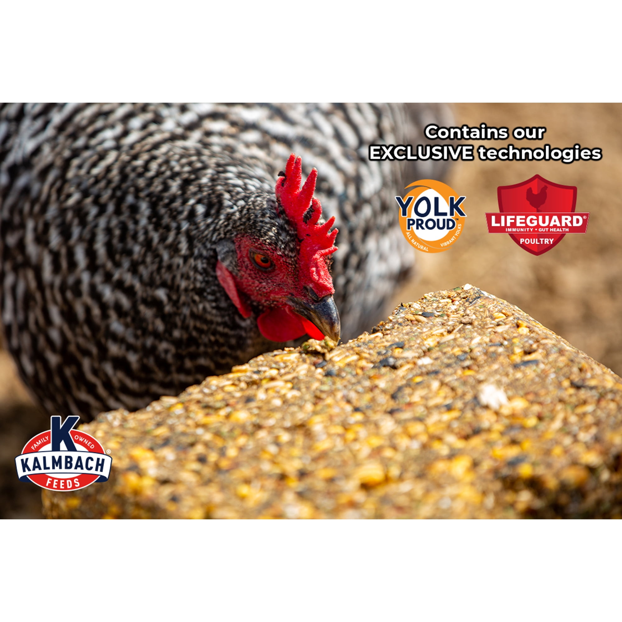 (3 pack) Kalmbach Feed Henhouse Reserve Treat Block for Chickens, 20 lb