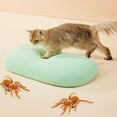 thumbnail image 3 of Pet Interactive Electric Cockroach Spider Toy Battery Operated Joke Playing Pet Vibration Insect Gifts Toy crawling realistic puppy realistic supplies remote dog dog pets pets toy For weighted, 3 of 8
