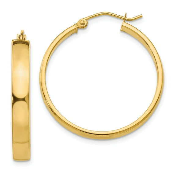 Primal Gold 14 Karat Yellow Gold Hoop Earrings