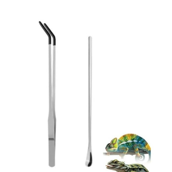2 Pcs Reptile Feeding Tongs, Feeding Spoon, Stainless Steel Aquarium Feeding Tools, Curved Long Tweezers 10.6 in, Long Spoon 9 in for Feeding Lizards, Bearded Dragons and More