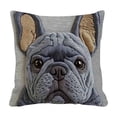 thumbnail image 2 of Spring Cute Pet Patterns Cushion Cover Soft Throw Pillow Cover For Sofa And Chair Ideal Choice For Spring Easter Sofa And Bedroom Decoration, 2 of 6