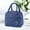 NY1, variant on Lunch Bag 2 Bento with Insulated Aluminum Foil for Portable Heat Retention and Thickened Ice Pack Thermal Tote for Everyday Meals