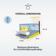 Hatching Time Quail Cage - 1 Section (Power-Washable, Durable, ABS Plastic) | Cimuka