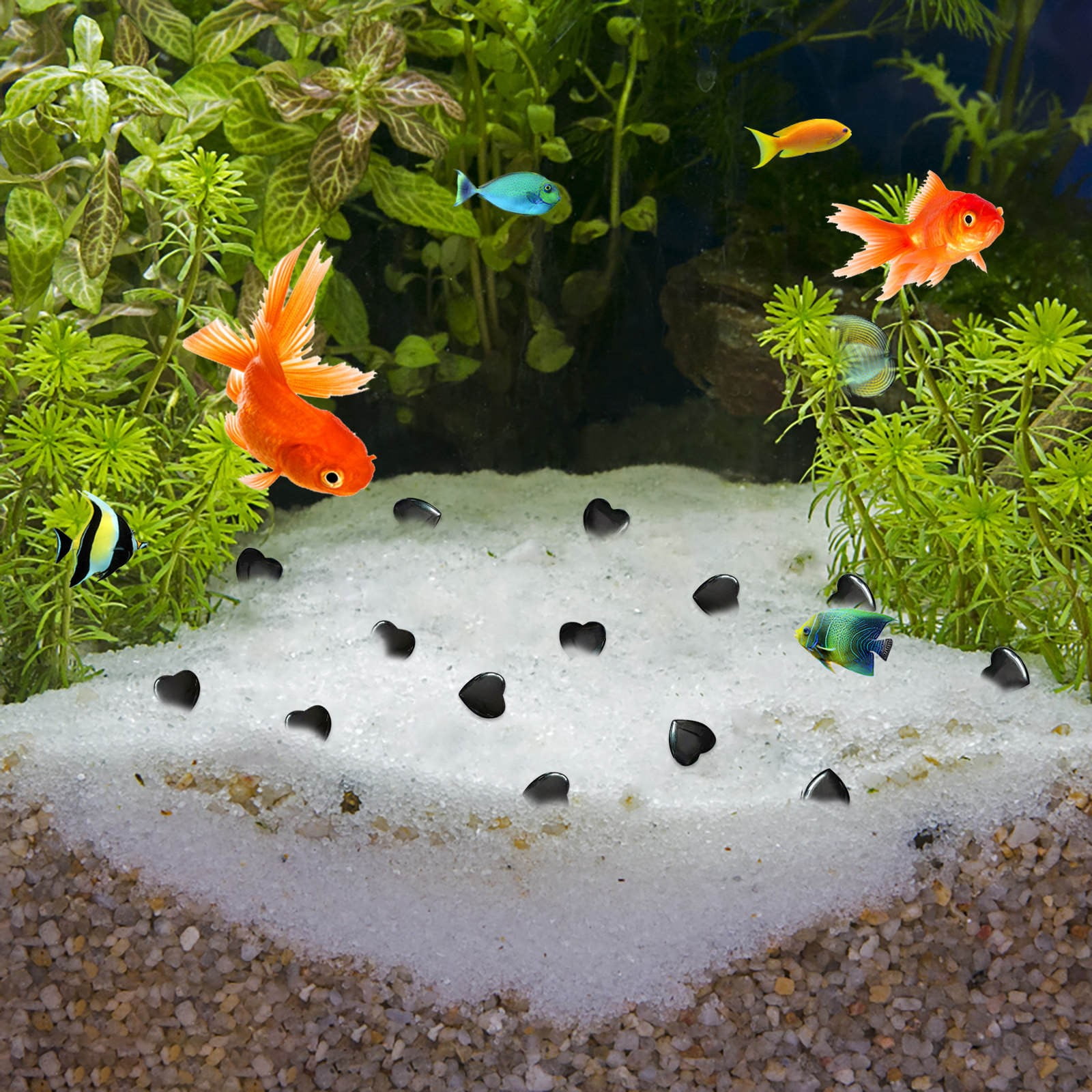 Fish Tank Decoration Ideas For Goldfish - Dive Date Diving Watch Goldfish Aquarium Decoration