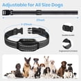 thumbnail image 3 of PetJoy 2 in 1 Dog Training Collars for 2 Dogs,3300ft Dog Shock Collar with Remote for Small Large Dogs,4 Modes Anti Barking Collar IPX7 Waterproof, 3 of 8