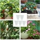 thumbnail image 2 of Soportes para plantas trepadoras Zhivalor Plástico enrejado jardín, 2 of 5