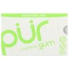 Pur Gum Coolmint Aspartame Free, 12.6 Grm