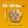 thumbnail image 2 of Pedigree Small Tasty Biscuits Peanut Butter & Bacon Flavor Dog Treats, 24 oz Bag, 2 of 10