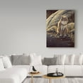 thumbnail image 3 of Trademark Fine Art 'Backlight Bobcat' Canvas Art by Wilhelm Goebel, 3 of 3
