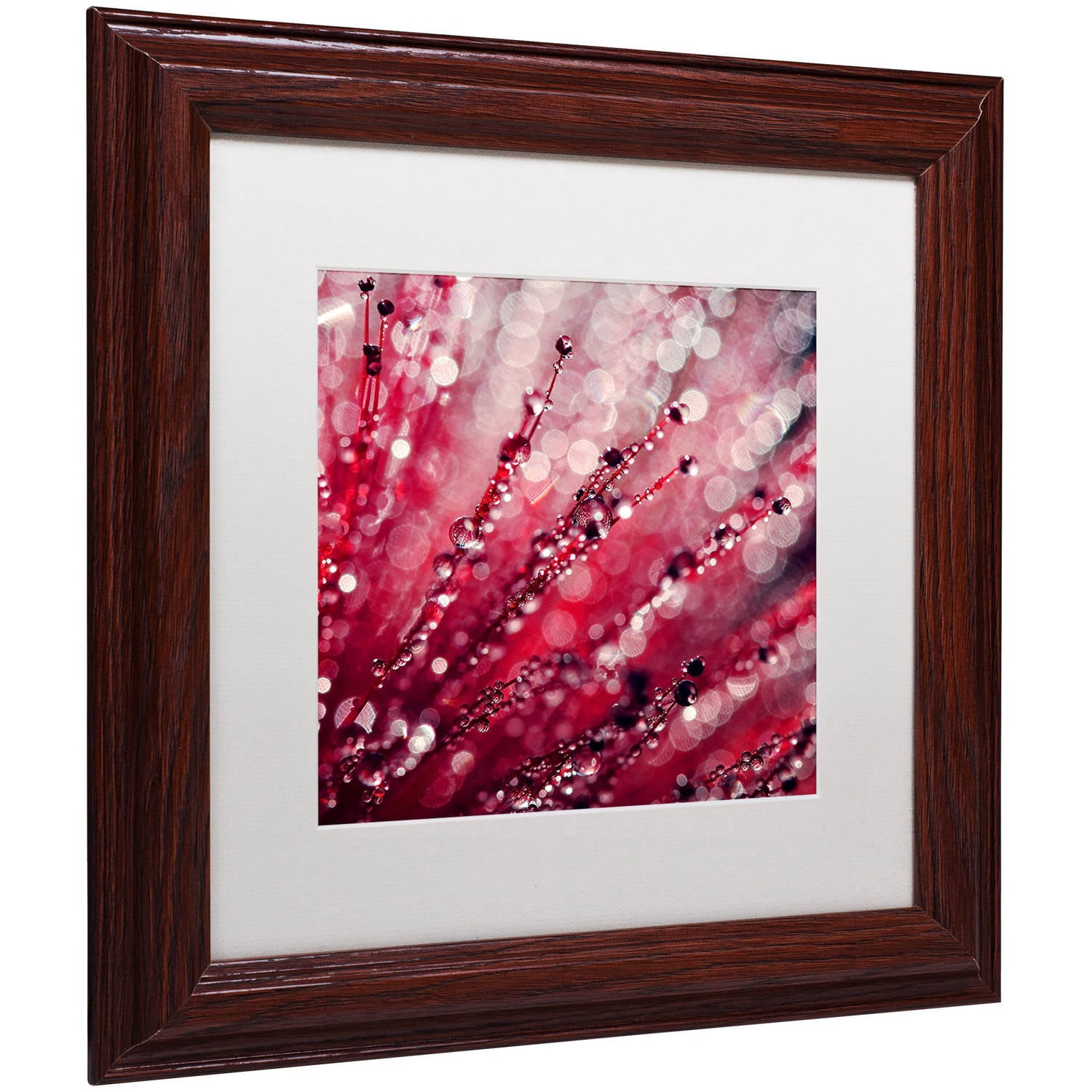 Trademark Fine Art "Red Melody" Canvas Art by Beata Czyzowska Young, White Matte, Wood Frame