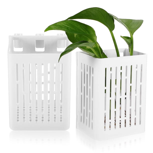 2 macetas colgantes para acuario, cestas para plantas acuáticas, macetas para plantas acuáticas vivas