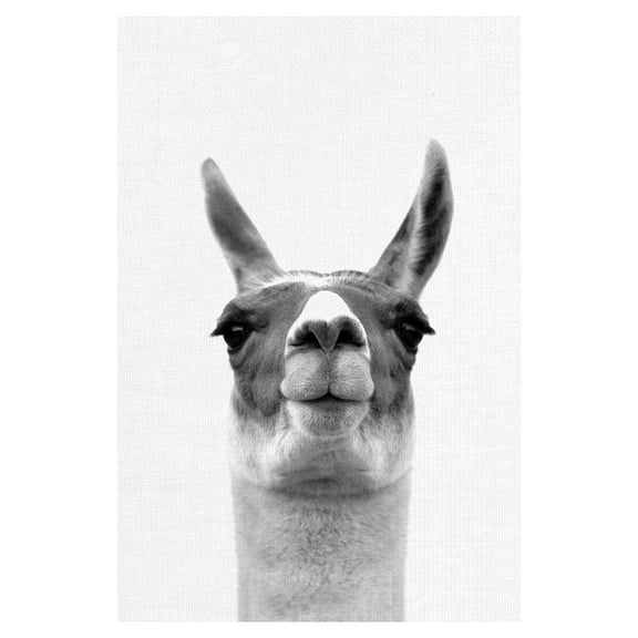 Masterpiece Art Gallery Listening Llama by Belle Maison Canvas Art Print 24" x 36"
