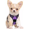 thumbnail image 1 of Rabbitgoo Arnés para Perros, Arnés para Mascotas Sin Tirones con 2 Clips para Correa, Chaleco Acolchado Suave Ajustable para Perros, Chaleco Oxford Reflectante para Mascotas sin Estrangulamiento con M, 1 of 4