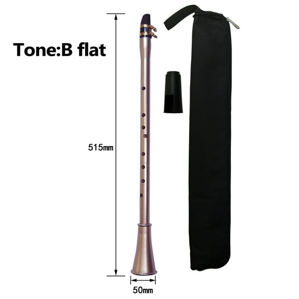 Saxophone portable 8 trous Mini saxophone de poche avec sac de transport  Instrument à vent en bois pour débutants 