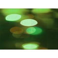 thumbnail image 1 of Ahgly Company Indoor Rectangle Patterned Dark Forest Green Area Rugs, 2' x 4', 1 of 1