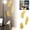 A, variant on Elegant Acrylic Feather Wall Decals For Living Room Bedroom Easy Installation Decorative Art Finish Home Interior Design