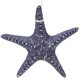 thumbnail image 1 of Ornamento de la estrella del mar de la casa Decoración de la estrella del mar de la pared de la pared de la pared de la pared de resina, 1 of 4