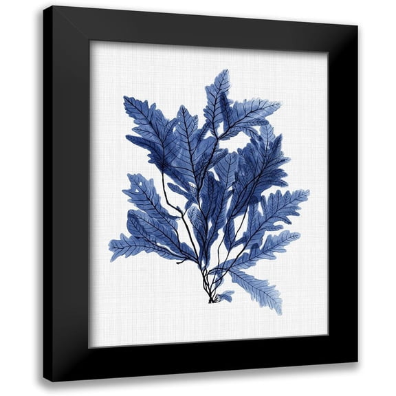 Urban Road 12x14 Black Modern Framed Museum Art Print Titled - Aruba Sea Poster