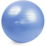 Exercise Ball Blue 21.6" (55cm) Core Stability Strengthening Extra Thick Heavy Duty Anti-Burst Birthing Yoga Ball Chair (Office - Home - Gym)