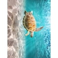 thumbnail image 2 of Turtle Under Ocean Water 3D Illusion Washable Outdoor Area Rug for Patio Deck Backyard Balcony Reversible Camping Rv Picnic Carpet Kitchen Bathroom Mat 3x5ft, 2 of 6
