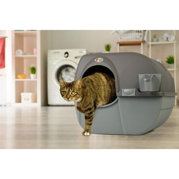 Omega Paw NRA15-1 Improved Roll 'n Clean Self Cleaning Litter Box, Regular, Pewter