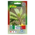 thumbnail image 1 of Semillas Epazote Vita, 1 of 5