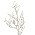 thumbnail image 4 of Tripar Deadwood Twig Tree - Natural - Medium, 4 of 5