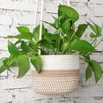 thumbnail image 4 of 2 Set Hanging Rope Planter Baskets, Natural Hand Woven Plant Holder with 22 Inch Long Hanging Rope, Accessories of Ceiling Hooks and 19 inch Hanging Chain for Indoor Plants Flowers, 4 of 7