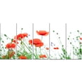thumbnail image 2 of Fleurs de Coquelicot sur Fond Blanc - Impression sur Toile Florale, 2 of 3