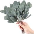 thumbnail image 3 of Tallos de hojas de eucalipto artificiales, ramas de eucalipto de imitación de dólar de plata corto, plantas verdes para ramos de flores, decoración de boda, 20 piezas Namotu WRJM-450, 3 of 7