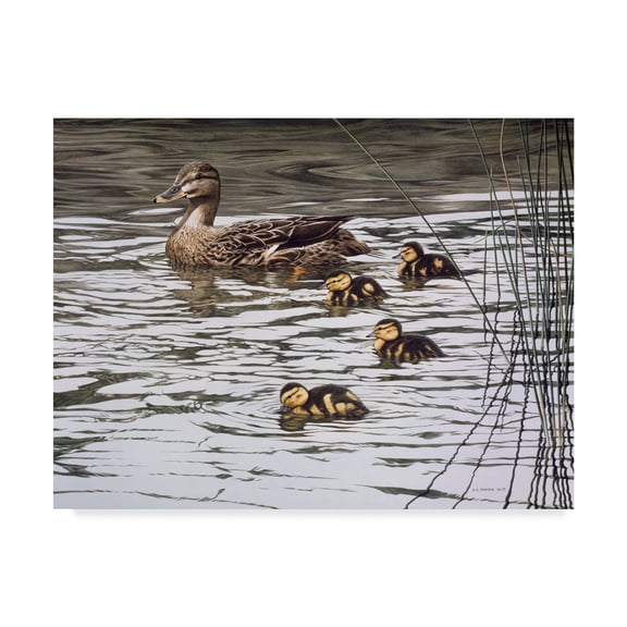 Trademark Fine Art 'Mallard Family' Canvas Art by Ron Parker