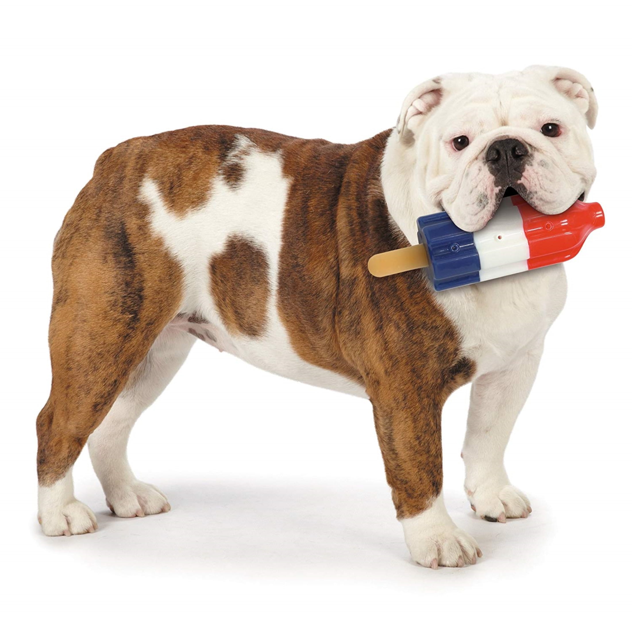 Rocket Pop Dog Toy – Puppy Love Gifts Shop