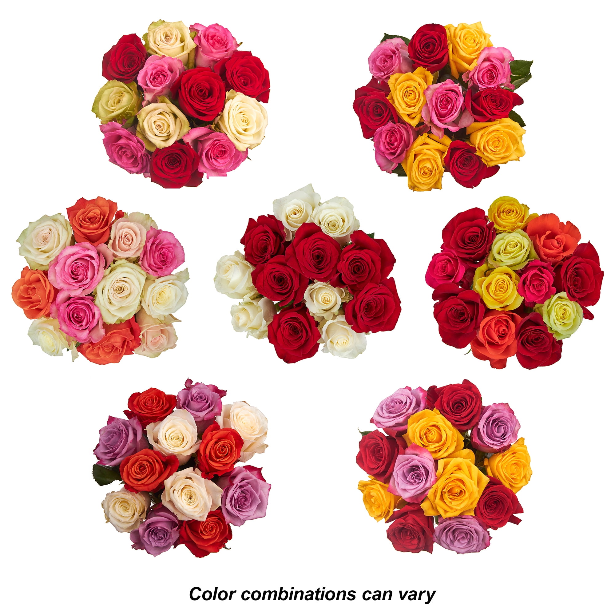 Dozen Rainbow Roses, Colors May Vary