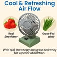 thumbnail image 3 of Vintage Mini Desk Fan – Retro Styling with Powerful Airflow, Perfect Gift for Nostalgia Lovers & Kids, White and Blue, 3 of 11